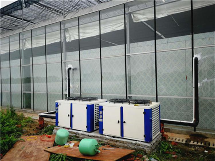 江西菊花冷庫(kù)