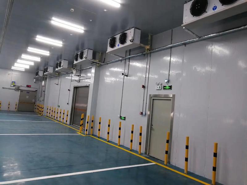 智賦·冷儲(chǔ)綠啟新程——2026年中國(guó)冷庫(kù)行業(yè)高質(zhì)量發(fā)展核心趨勢(shì)解析及服務(wù)指南