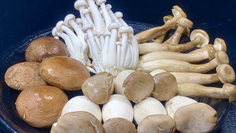 江西菌菇冷庫(kù)保鮮方式及建造溫度